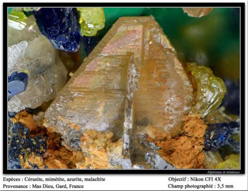 Cerussite, mimetite, azurite, malachite
Mas Dieu, Mercoirol, Gard, France
fov 3.5 mm (Author: ploum)