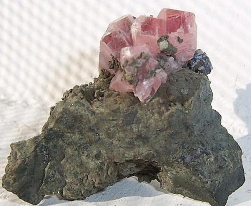 Rhodochrosite with galena.
Santa Eulalia, Chihuahua, México.
2.5cm x 2cm x 1.3cm. (Author: Luis Domínguez)