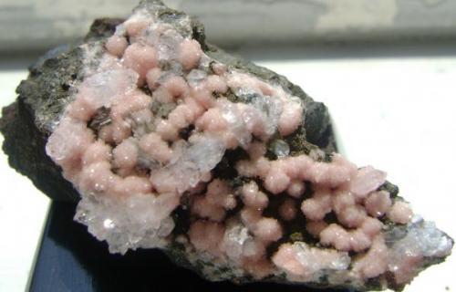 Rhodochrosite with quartz.
Hidalgo, México.
4.6cm x 2.5cm x 2cm. (Author: Luis Domínguez)