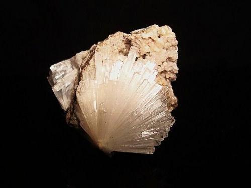 Natrolite.
Charcas, San Luis Potosí, México.
3cm x 3.3cm x 2.9cm. (Author: Luis Domínguez)