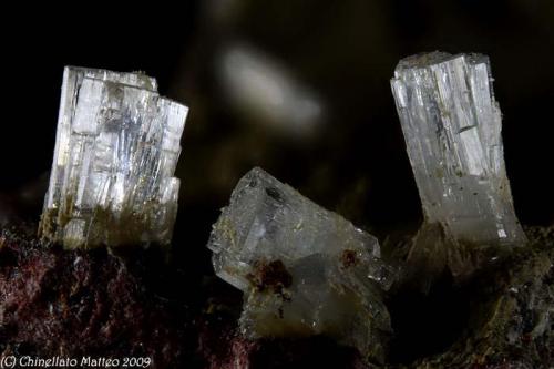 Thomsonite-Ca
Vitiello Quarry (Cava Vitiello), Terzigno, Mt Vesuvius, Somma-Vesuvius Complex, Naples Province, Campania, Italy
5.87 mm group of Thomsonite crystals. Collection & Photo M.Chinellato (Author: Matteo_Chinellato)