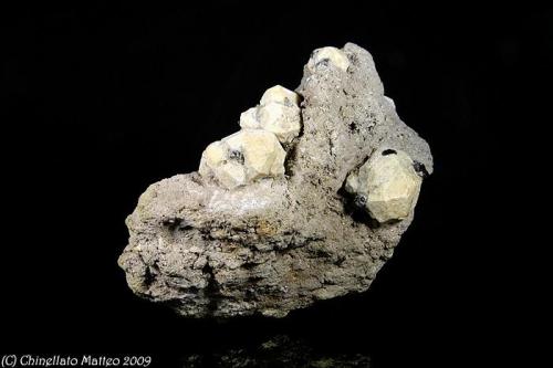 Leucite, Augite
Roccamonfina, Roccamonfina Volcanic Complex, Caserta Province, Campania, Italy
Leucite specimen of 127.62x114.83 mm. Collection & Photo M.Chinellato (Author: Matteo_Chinellato)