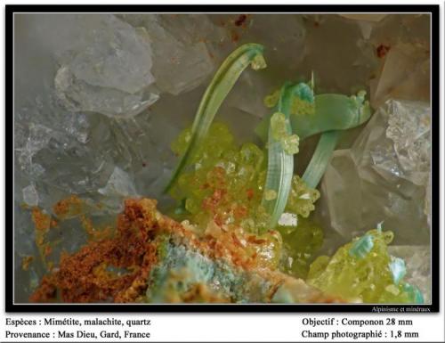 Mimetite and malachite
Mas Dieu, Mercoirol, Gard, France
fov 1.8 mm (Author: ploum)