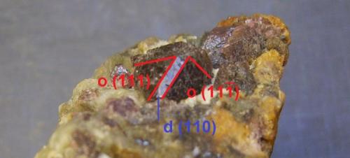 Espinela
Sierra de Mijas, Málaga, España
7 x 5 x 3 cm.
Detalle del cristal de espinela con indicación de las caras. Dos octaedros (o) y el bisel, la cara del rombododecaedro (d). Presenta un único rombododecaedro. He estado repasando la galería FMF y no he encontrado apenas espinelas con esa modificación. (Autor: Antonio Alcaide)