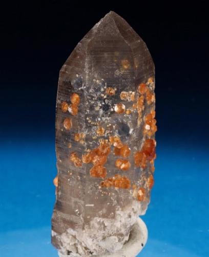Smoky quartz, garnet var. spessartine
Wushan Mine, Fujian Province, China
Height 60 mm. (Author: Tobi)