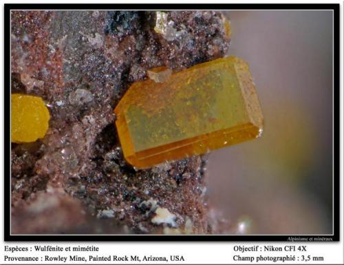 Wulfenite and mimetite
Rowley Mine, Theba, Painted Rock Mts, Maricopa County, Arizona, USA
fov 3.5 mm (Author: ploum)