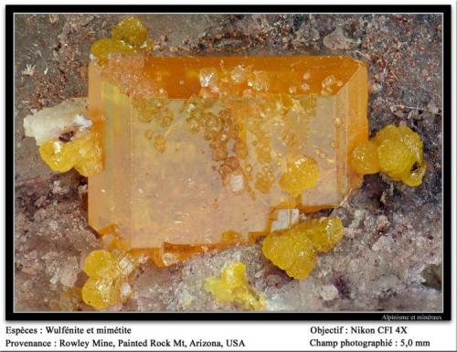 Wulfenite and mimetite
Rowley Mine, Theba, Painted Rock Mts, Maricopa County, Arizona, USA
fov 5 mm (Author: ploum)