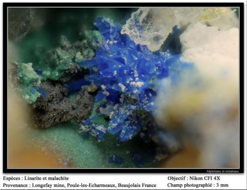 Linarite
Longefay mine, Poule-les-Echarmeaux, Rhône, Rhône-Alpes, France
fov 3 mm (Author: ploum)