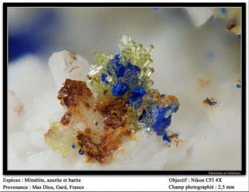 Mimetite and azurite
Mas Dieu, Mercoirol, Gard, France
fov 2.5 mm (Author: ploum)