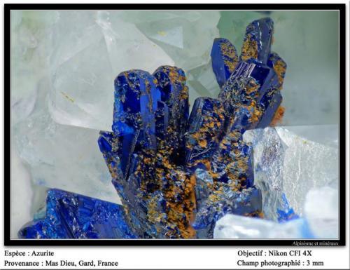 Azurite
Mas Dieu, Mercoirol, Gard, France
fov 3 mm (Author: ploum)