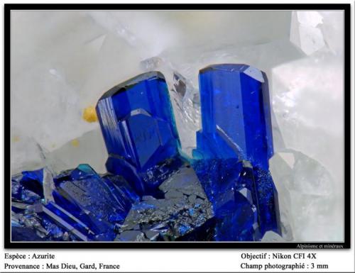 Azurite
Mas Dieu, Mercoirol, Gard, France
fov 3 mm (Author: ploum)