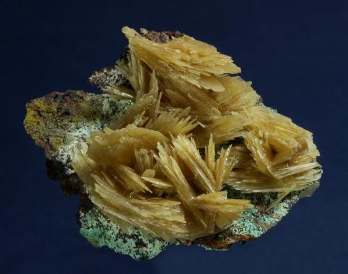 Barite
Ojuela Mine, Mapimi District, Bufa de Mapimi, Municipio de Mapimi, Durango, Mexico
51 x 42 x 22 mm
Golden, thin-bladed rosettes of Barite to 25 mm across cover the limonitic matrix, which is accented with greenish Malachite. ex. George Burnham specimen.  No damage. (Author: GneissWare)