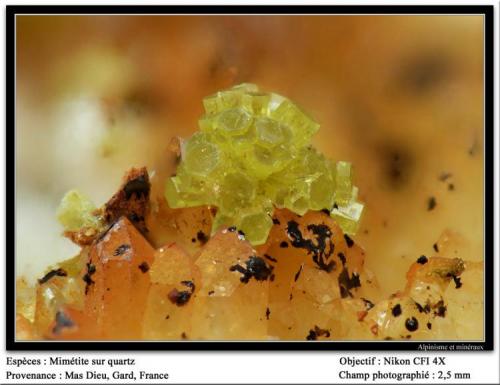 Mimetite on quartz
Mas Dieu, Mercoirol, Gard, France
fov 2.5 mm (Author: ploum)