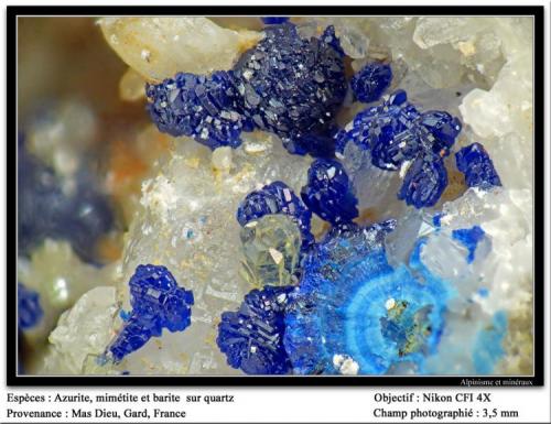 Azurite and mimetite
Mas Dieu, Mercoirol, Gard, France
fov 3.5 mm (Author: ploum)