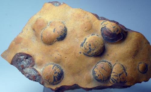 Goethita pseudomórfica de Pirita
Molins de Rei - Baix Llobregat - Barcelona - Catalunya - España
105 x 60 x 25 mm (Autor: Joan Martinez Bruguera)