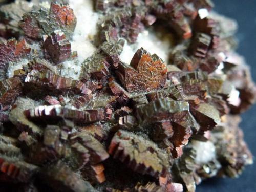 Marcasita y Dolomita<br />Reocín Mine, Reocín, Comarca Saja-Nansa, Cantabria, Spain<br />6 x 6 cm.<br /> (Autor: javier ruiz martin)