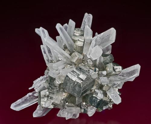 Quartz with Pyrite
Spruce claim, King Co., Washington
12.1 x 8.2 cm (Author: am mizunaka)