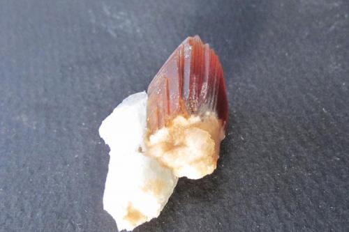 Calcite
Lane Quarry, Hampden County, Westfield, Massasuchetts, USA
Crystal is 2 cm. (Author: vic rzonca)