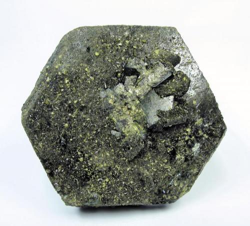 Epidote
Raywoo mine, Quetta district, Balochistan (Baluchistan), Pakistan
67 mm x 62 mm x 26 mm

The other side (Author: Carles Millan)