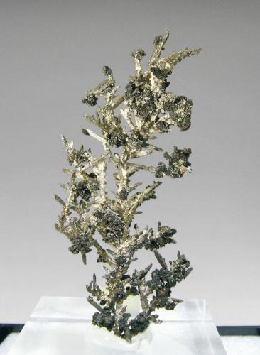 Silver
White Pine Mine, White Pine, Ontonagon County, Michigan, USA
Specimen size: 3.3 × 1.6 × 0.8 cm.
Photo: Reference Specimens (Author: Jordi Fabre)