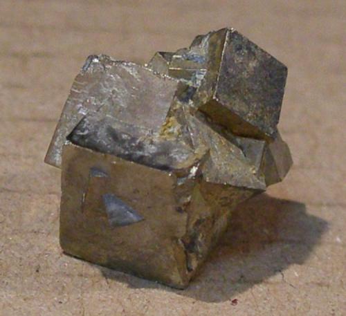 Pirita<br />Can Thos Quarry, Mas Gelabert, Massanes, Comarca La Selva, Gerona / Girona, Catalonia / Catalunya, Spain<br />11 x 11 mm<br /> (Autor: juan martin)