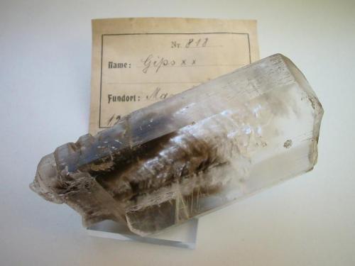 Gypsum
Helbra near Mansfeld, Saxony-Anhalt, Germany
9 cm
Old gypsum crystal (Author: Andreas Gerstenberg)
