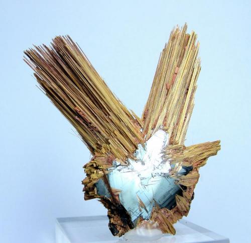 Rutile, hematite
Novo Horizonte, Bahia, Brazil
65 mm x 55 mm (Author: Carles Millan)