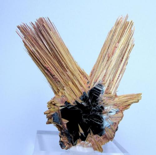 Rutile, hematite
Novo Horizonte, Bahia, Brazil
65 mm x 55 mm (Author: Carles Millan)