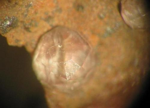 Fluorite
Schlüchttal quarry, Hotzenwald, Black Forest, Germany
2 mm (Author: Andreas Gerstenberg)