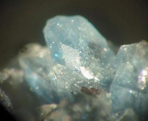 Scorodite
Schöne Aussicht mine, Dernbach, Westerwald, Germany
picture width: 5 mm
Closeup of the above shown specimen showing excellent crystals up to 3 mm. (Author: Andreas Gerstenberg)