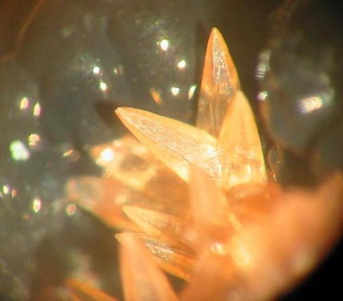 Rhodochrosite
Wolf mine, Herdorf, Siegerland, Germany
crystals up to 3 mm (Author: Andreas Gerstenberg)