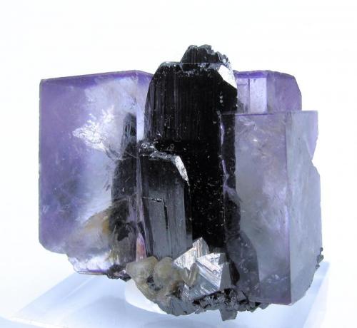 Fluorite, ferberite, arsenopyrite, mica
Yaogangxian Mine, Yaogangxian W-Sn ore field, Yizhang Co., Chenzhou Prefecture, Hunan Province, China
37 mm x 37 mm (Author: Carles Millan)