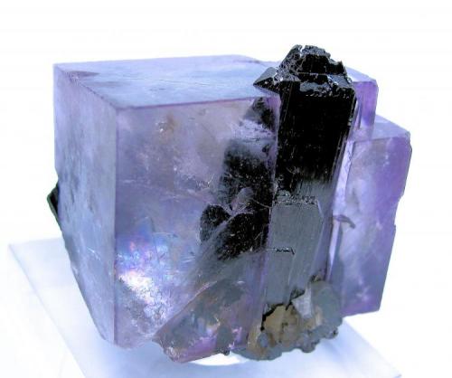 Fluorite, ferberite, arsenopyrite, mica
Yaogangxian Mine, Yaogangxian W-Sn ore field, Yizhang Co., Chenzhou Prefecture, Hunan Province, China
37 mm x 37 mm (Author: Carles Millan)