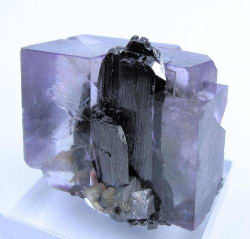 Fluorite, ferberite, arsenopyrite, mica
Yaogangxian Mine, Yaogangxian W-Sn ore field, Yizhang Co., Chenzhou Prefecture, Hunan Province, China
37 mm x 37 mm (Author: Carles Millan)