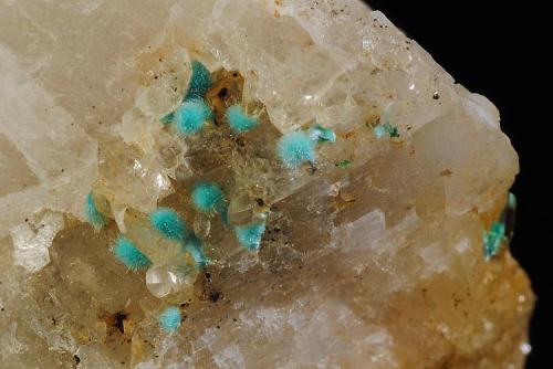 Auricalcita, Cuarzo en matriz de Calcita
Mina Hozarco. La Hermida. Cantabria. España
Encuadre de la foto aproximado 10 x 8 mm.
Recolectado en 1997 (Autor: Daniel Agut)