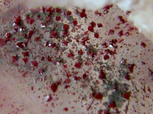 Barita, Cinabrio<br />Distrito Minero de Almadén, Almadén, Comarca Valle de Alcudia, Ciudad Real, Castilla-La Mancha, Spain<br />42 x 40 x 31 mm., cristales de cinabrio de 1 mm. aproximadamente<br /> (Autor: José Luis Zamora)