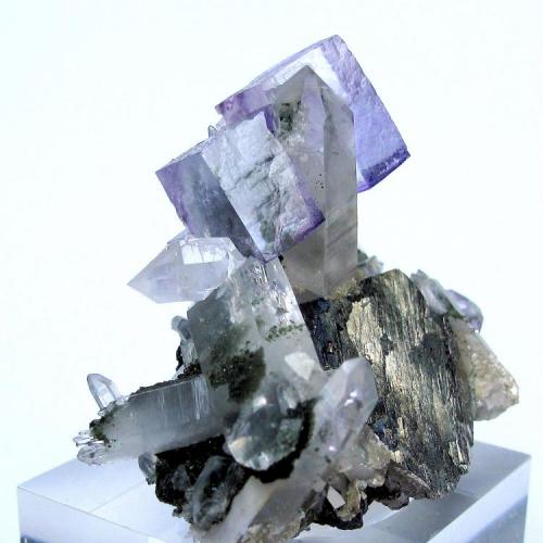 Fluorite, quartz, arsenopyrite
Yaogangxian Mine, Yizhang, Chenzhou, Hunan, China
54 mm x 47 mm (Author: Carles Millan)