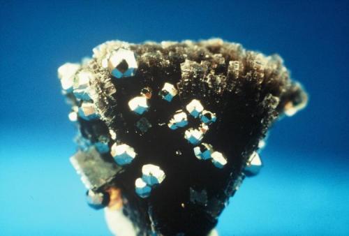 Pyrite (diploid) on fluorite sheaves
Suever Quarry, Delphos, Ohio, USA
1 cm high (Author: John Medici)