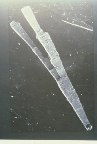 Fluorite needle (bifurcated) SEM by George.Robinson
Suever Quarry, Delphos, Ohio, USA
around 6 mm (Author: John Medici)