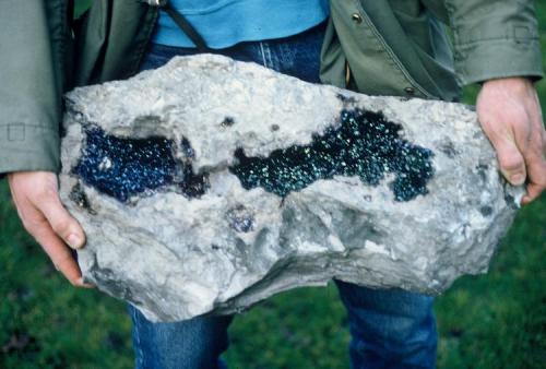 Fluorite - rare iridescent colors
Auglaize quarry, Junction, Ohio, USA (Author: John Medici)