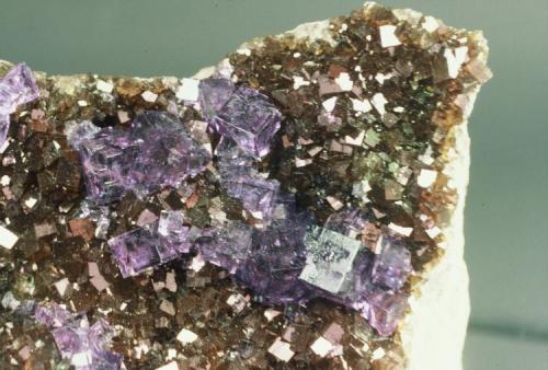 Fluorite - purple over iridescent
Auglaize quarry, Junction, Ohio, USA
10 cm across (Author: John Medici)