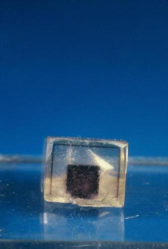 Fluorite phantom (cube/tetrahex)
Auglaize quarry, Junction, Ohio, USA
1.0X0.8cm (Author: John Medici)