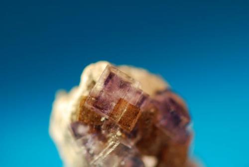Fluorite (tricolor)
Auglaize quarry, Junction, Ohio, USA
1 cm (larger crystal) (Author: John Medici)