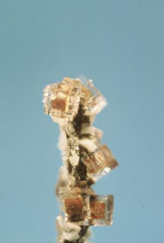 Fluorite phantoms
Pugh quarry, Custar, Ohio, USA
cubes around 7 mm across (Author: John Medici)