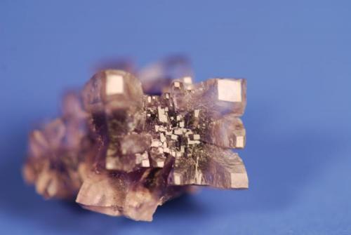 Fluorite (tetrahex/cube exaggerated I think)
Auglaize Quarry, Junction, Ohio, USA
1.3 cm across (Author: John Medici)