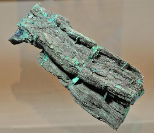 Chalcocite replacing Wood
Nacimiento Copper Mine, Sandoval County, New Mexico, USA
13.3 x 5.1 cm
The primary ore of the copper mine (Author: Philip Simmons)