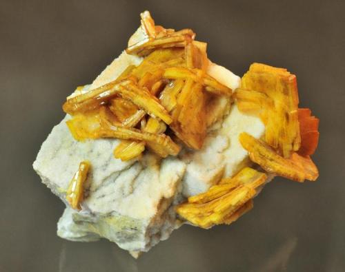 Barite on Quartz
Juanita Mine, Magdalena District, Socorro County, New Mexico, USA
6.4 x 6.4 cm with crystals to 2.5 cm (Author: Philip Simmons)