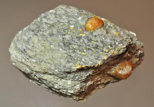Spessartine garnets in schist
Truchas Peak, Rio Arriba County, New Mexico, USA
5.1 x 3.2 cm
Even in New Mexico not many collectors know about this locality, but it has produced garnets up to 2 cm in diameter (Author: Philip Simmons)