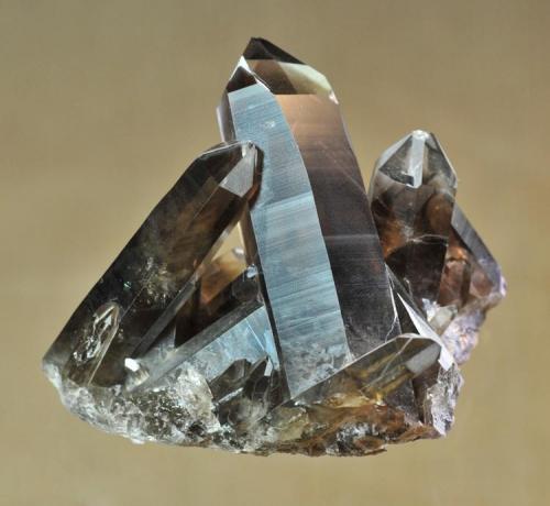 Smoky Quartz
Sierra Blanca, White Mountain Wilderness, Lincoln County, New Mexico, USA
8.9 x 5.7 cm
My contribution to the Sierra Blanca smokies.  Collected with my dad over 20 years ago. (Author: Philip Simmons)
