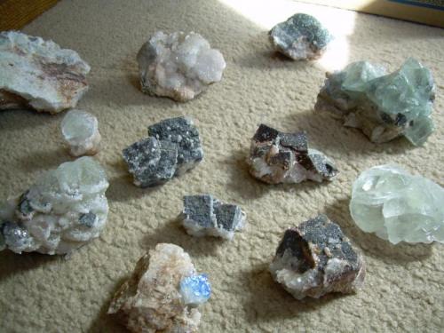 Fluorites and Galenas mixed.
Blanchard Claims, Bingham, Socorro County, New Mexico, USA
Here is an assortment of some of the finds, we found 200+ nice specimens in all. (Author: strahler)